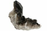 Dark Smoky Quartz Crystal Cluster - Brazil #104097-2